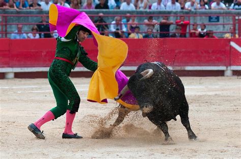 most common sport in spain